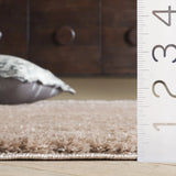 Safavieh Penelope Shag 4'-0" x 6'-0" Rug in Taupe