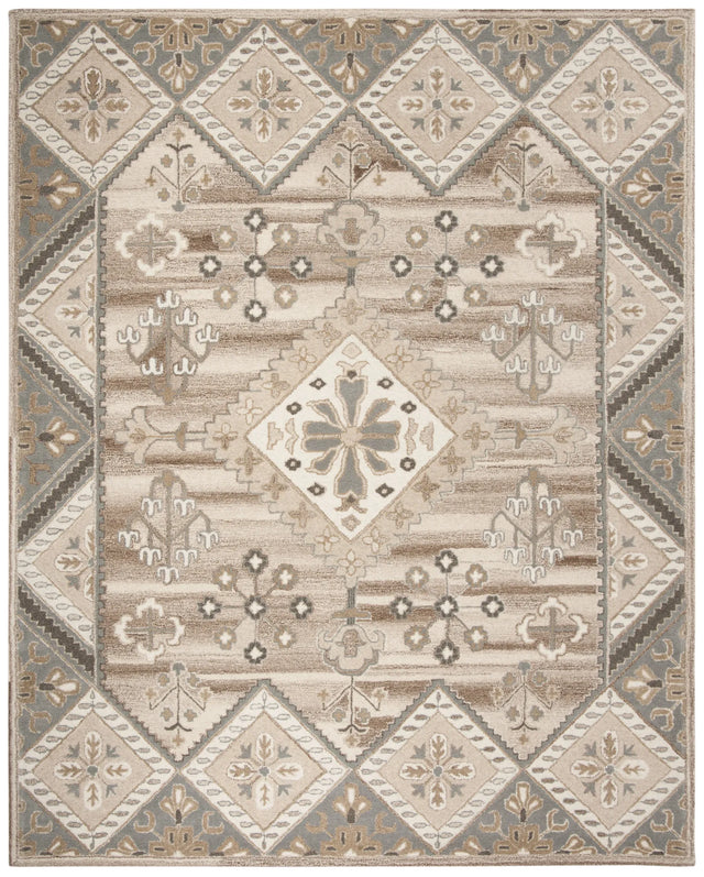 Safavieh Wyndham 8'-0" x 10'-0" Rug in Ivory / Grey