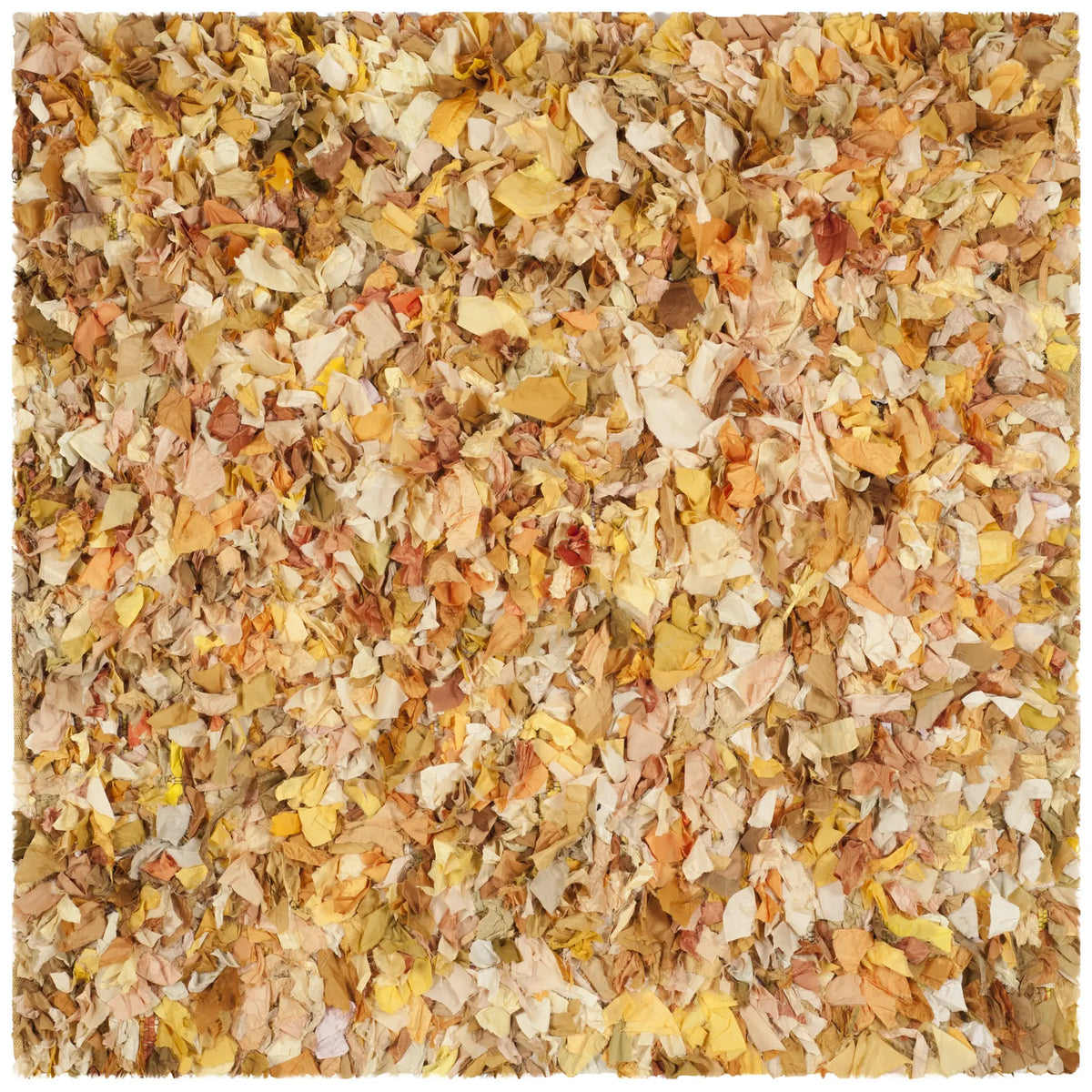 Safavieh Rio Shag 6'-0" x 6'-0" Rug in Gold / Multi