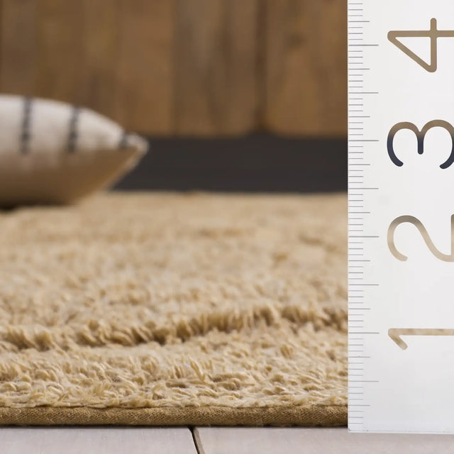 Safavieh Easy Care 4'-0" x 6'-0" Rug in Light Brown