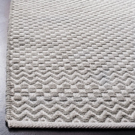 Safavieh Boston 4'-0" x 6'-0" Rug in Grey