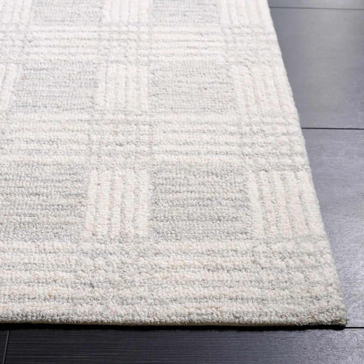 Safavieh Ebony 4'-0" x 6'-0" Rug in Light Grey / Ivory