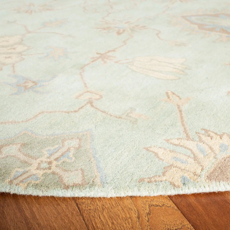 Safavieh Wyndham 7'-0" x 7'-0" Rug in Light Green