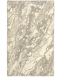 Oriental Weavers Sphinx Anastasia 68008 Beige / Ivory Rugs - main flat