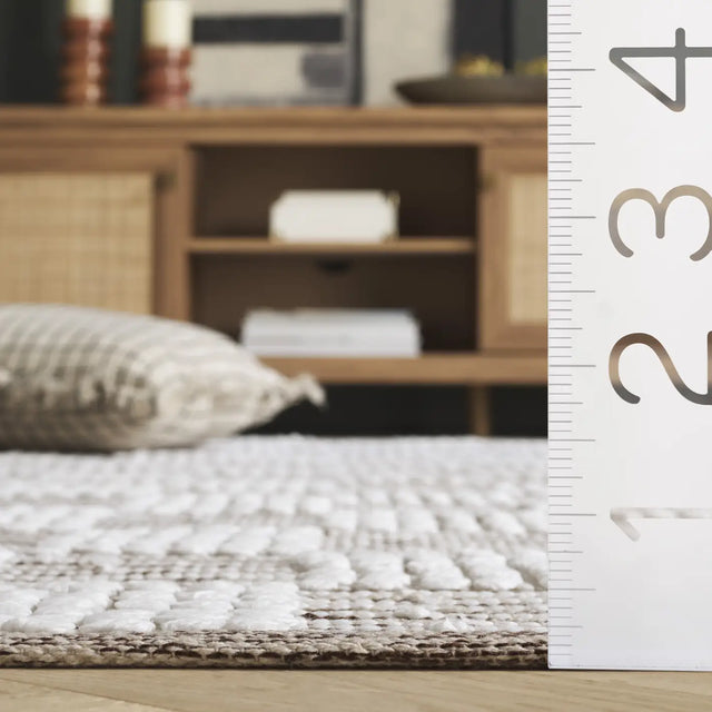 Safavieh Montauk 4'-0" x 6'-0" Rug in Brown / Ivory