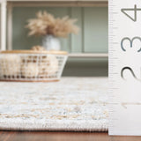 Safavieh Hamilton 4'-0" x 6'-0" Rug in Grey / Blue