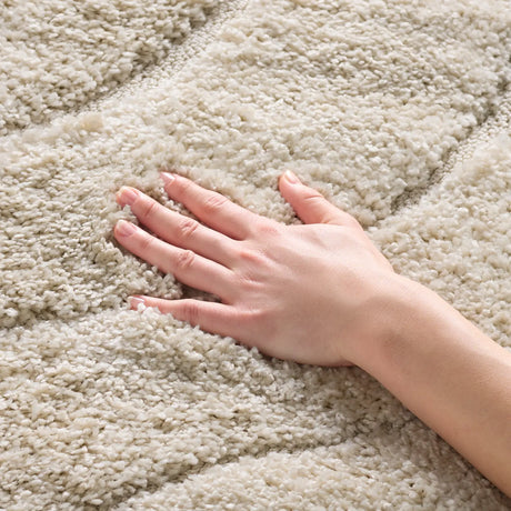 Safavieh Florida Shag 4'-0" x 6'-0" Rug in Creme / Creme