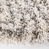 Safavieh Hudson Shag 5'-0" x 5'-0" Rug in Ivory / Grey