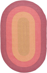 Safavieh Braided 5'-0" x 8'-0" Rug in Multi
