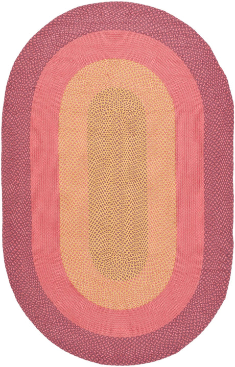 Safavieh Braided 5'-0" x 8'-0" Rug in Multi