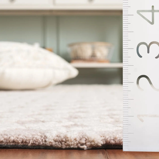 Safavieh Genre 4'-0" x 6'-0" Rug in Beige / Ivory