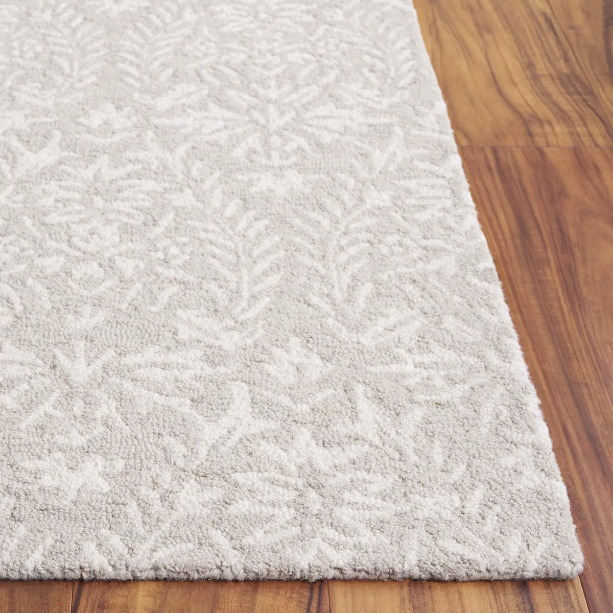 Safavieh Ebony 4'-0" x 6'-0" Rug in Light Grey / Ivory
