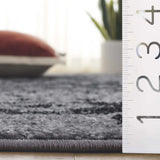 Safavieh Adirondack 4'-0" x 6'-0" Rug in Silver / Black