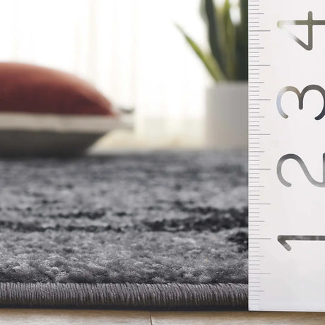 Safavieh Adirondack 4'-0" x 6'-0" Rug in Silver / Black