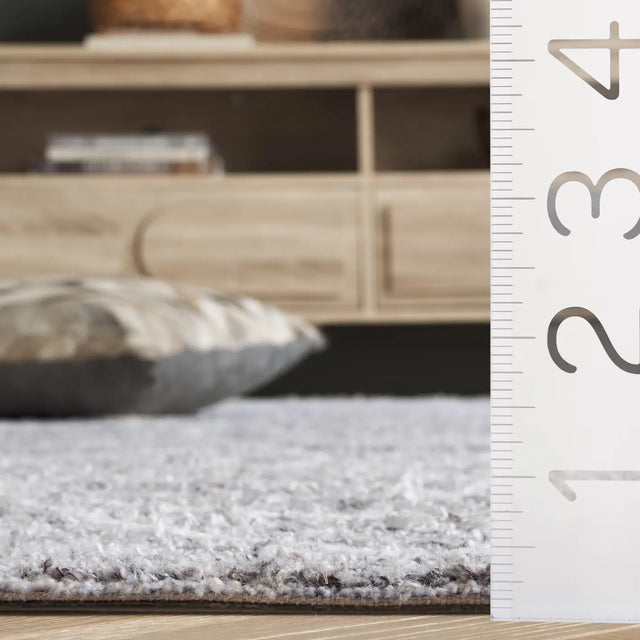 Safavieh Ebony 4'-0" x 6'-0" Rug in Grey / Ivory