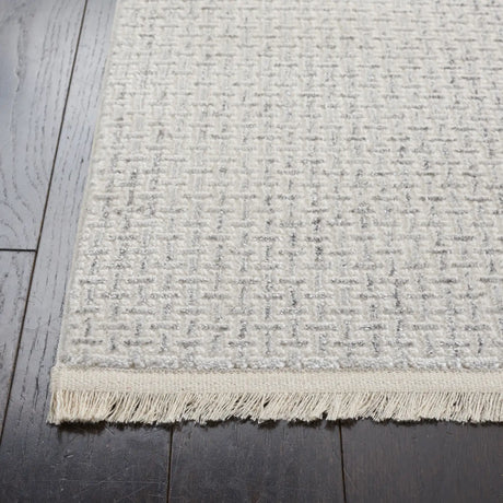 Safavieh Whisper 4'-0" x 6'-0" Rug in Light Grey / Ivory