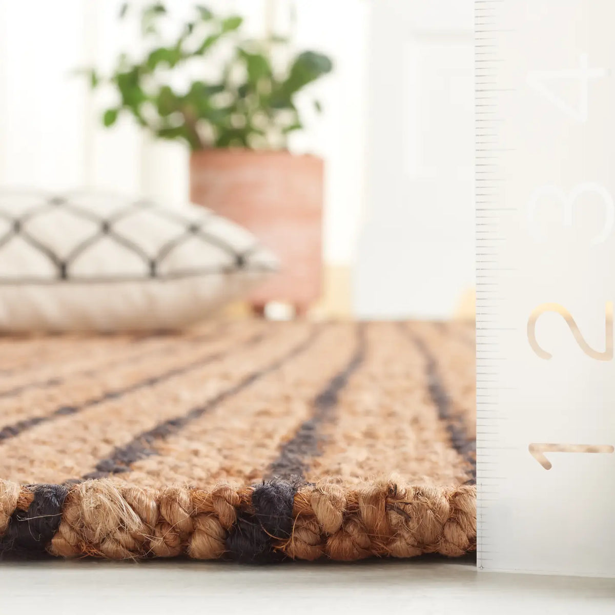 Safavieh Palm Beach 4'-0" x 6'-0" Rug in Natural / Black