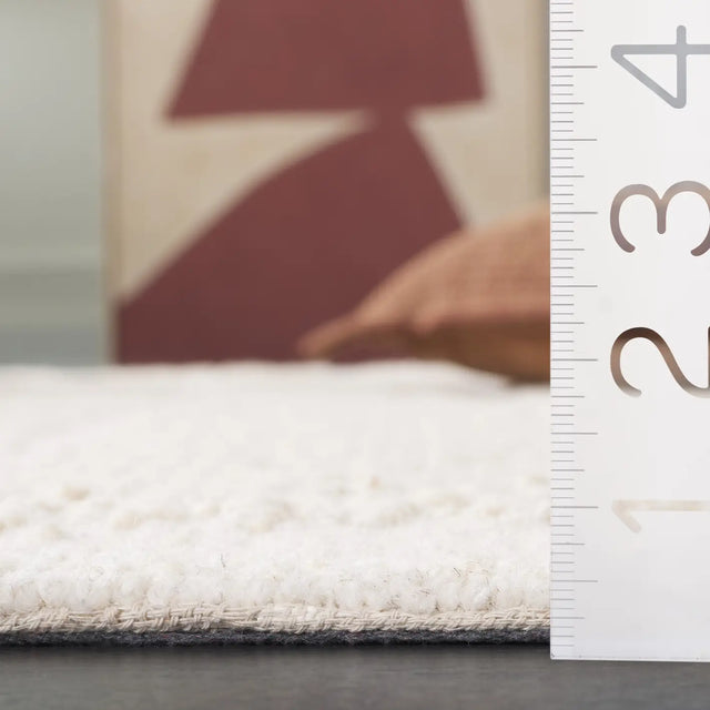 Safavieh Natura 4'-0" x 6'-0" Rug in Ivory / Beige