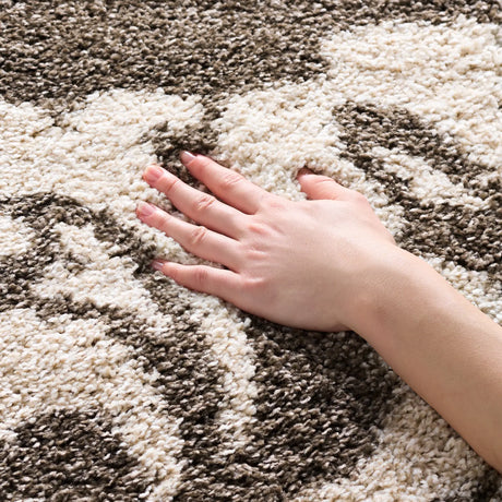 Safavieh Florida Shag 4'-0" x 6'-0" Rug in Smoke / Beige