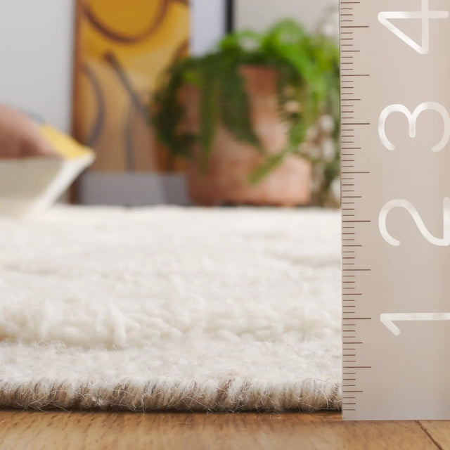 Safavieh Vermont 4'-0" x 6'-0" Rug in Ivory