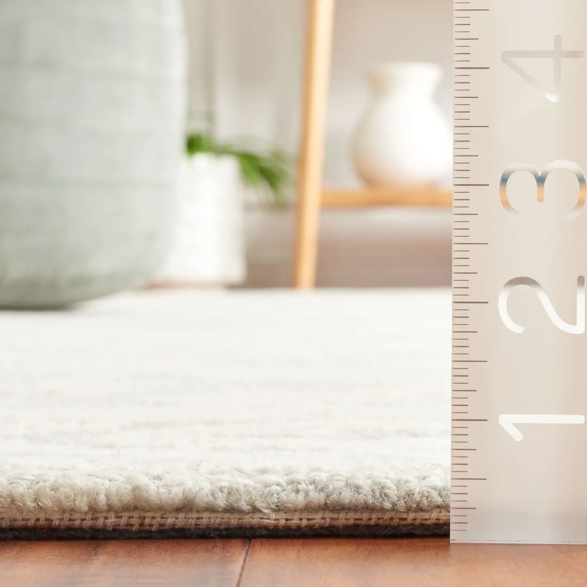 Safavieh Ebony 4'-0" x 6'-0" Rug in Ivory / Light Blue