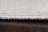 Dynamic Rugs Quin 41009 Ivory Rugs - Pile