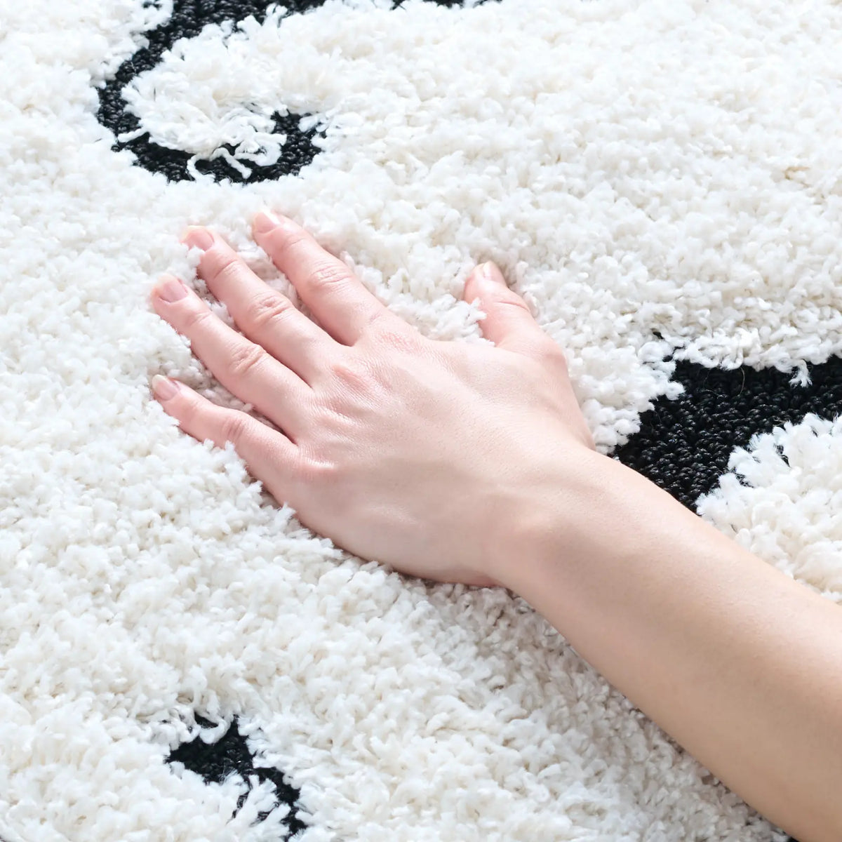Safavieh Florida Shag 4'-0" x 6'-0" Rug in Ivory / Black