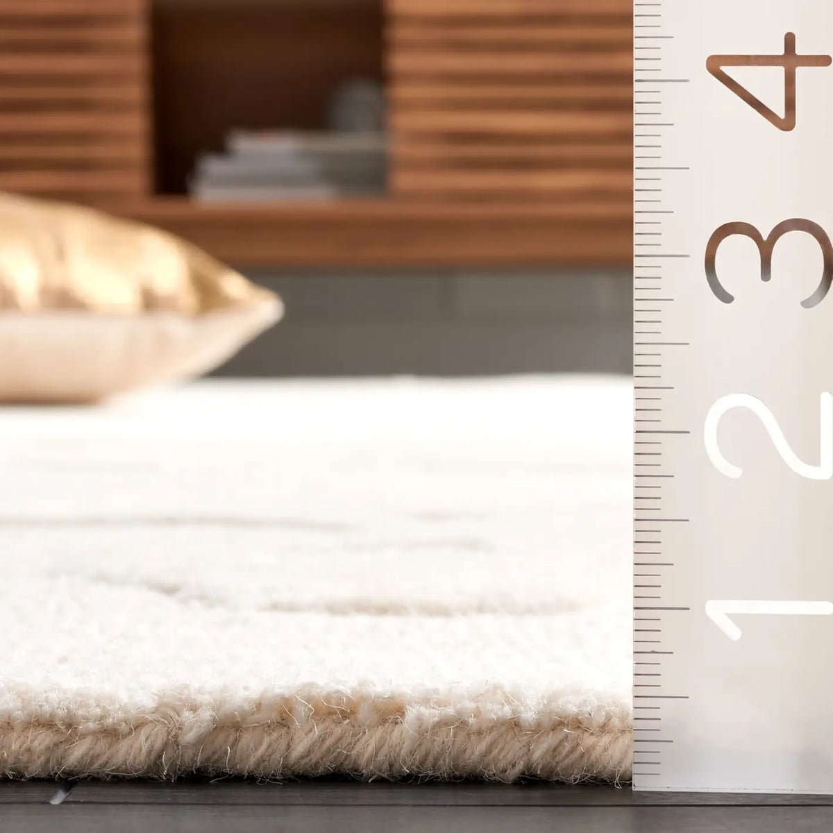 Safavieh Ebony 4'-0" x 6'-0" Rug in Ivory