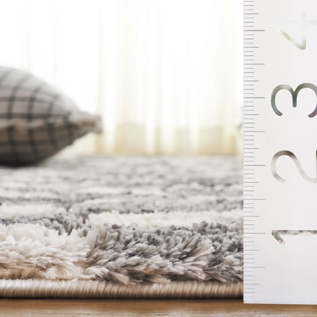 Safavieh Seattle Shag 900 4'-0" x 6'-0" Rug in Ivory / Grey