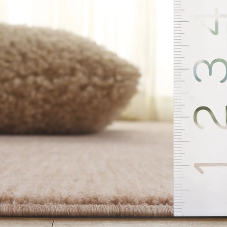 Safavieh Haven 4'-0" x 6'-0" Rug in Light Pink