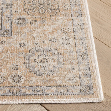 Safavieh Atlas 4'-0" x 6'-0" Rug in Ivory / Beige
