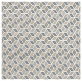 Safavieh Ebony 6'-0" x 6'-0" Rug in Ivory / Grey