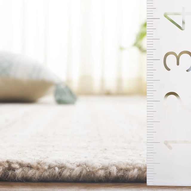 Safavieh Ebony 4'-0" x 6'-0" Rug in Beige / Ivory