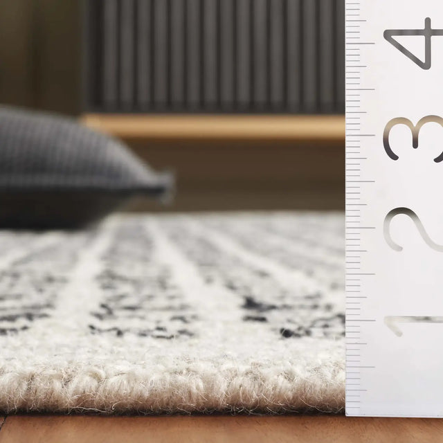Safavieh Ebony 4'-0" x 6'-0" Rug in Beige / Black