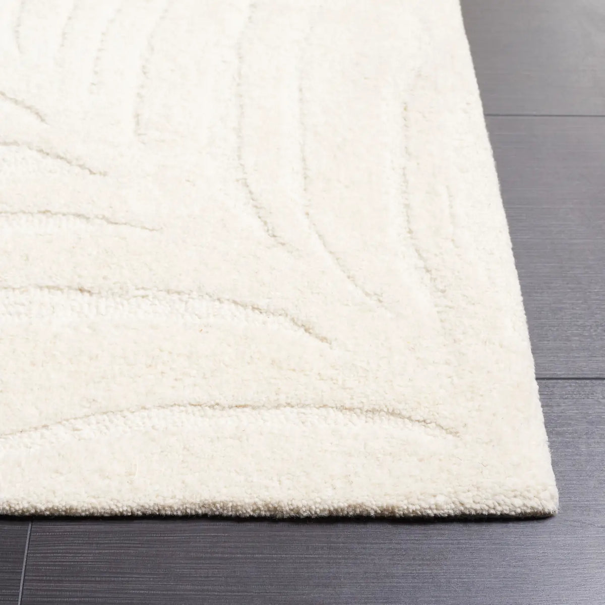 Safavieh Ebony 4'-0" x 6'-0" Rug in Ivory