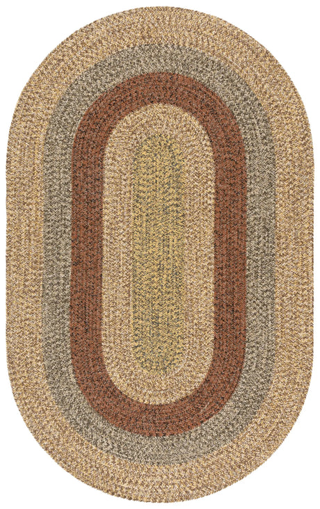 Safavieh Braided 5'-0" x 8'-0" Rug in Brown / Gold