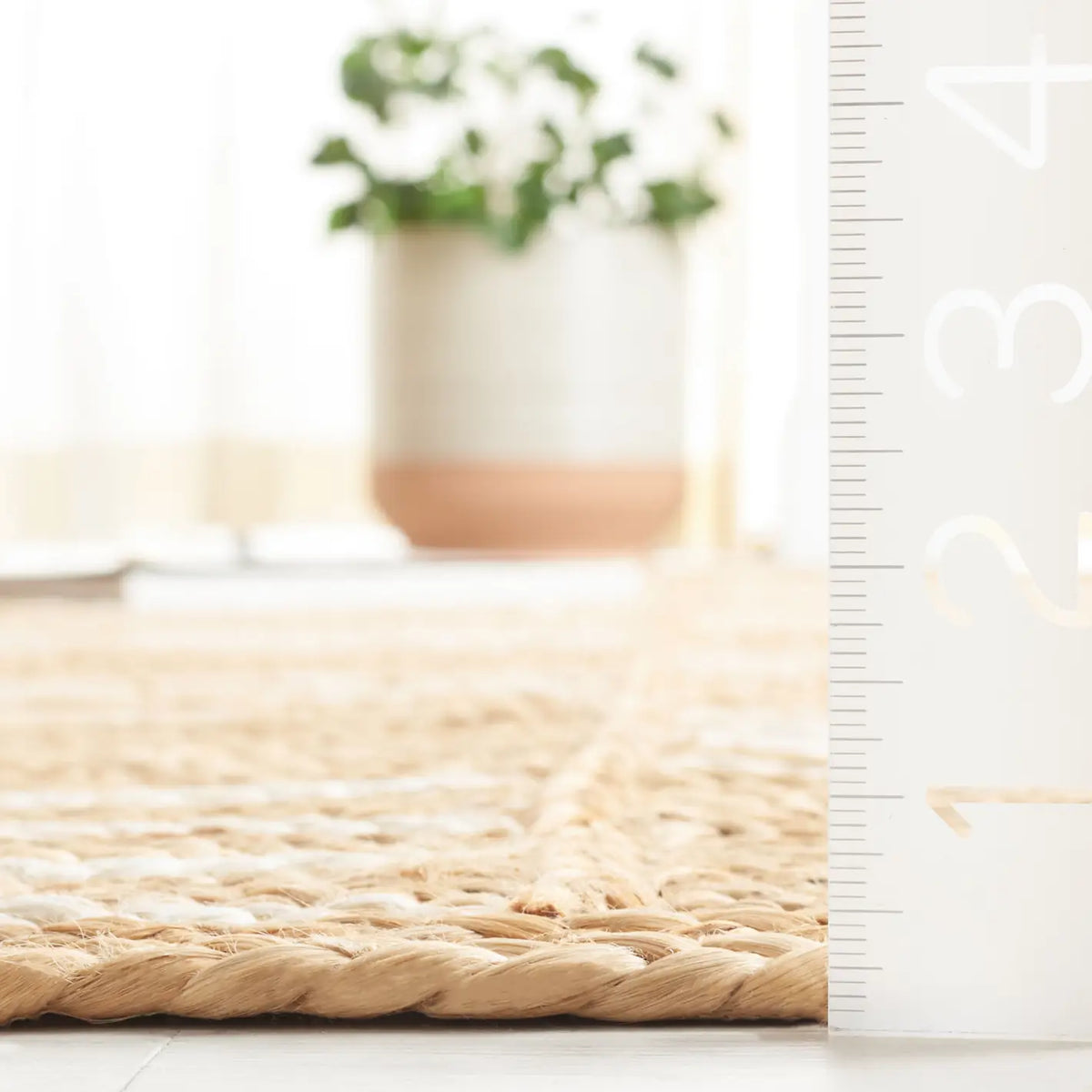 Safavieh Natural Fiber 4'-0" x 6'-0" Rug in Natural / Ivory
