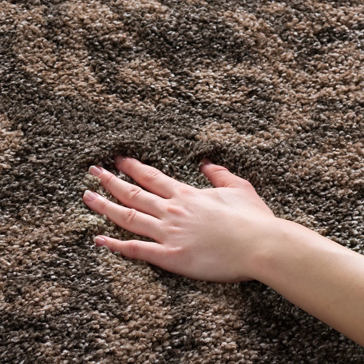Safavieh Florida Shag 4'-0" x 6'-0" Rug in Smoke / Beige