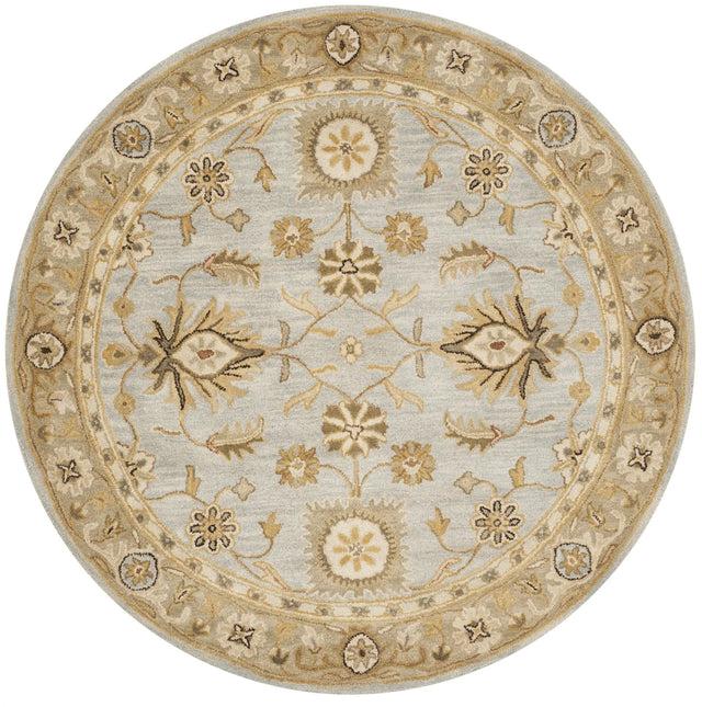 Safavieh Antiquity 6'-0" x 6'-0" Rug in Light Blue / Sage