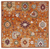 Safavieh Aspen 5'-0" x 5'-0" Rug in Rust / Green