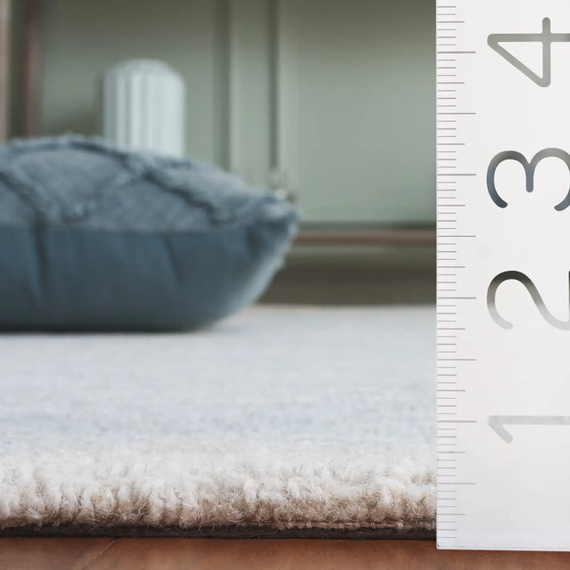 Safavieh Harvest 4'-0" x 6'-0" Rug in Light Blue / Ivory