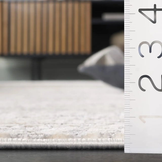 Safavieh Hanna 4'-0" x 6'-0" Rug in Grey / Dark Grey