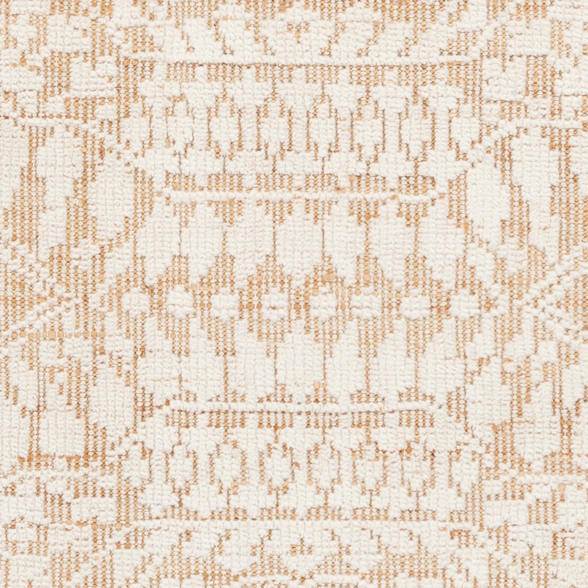 Chandra Ayla AYL-58003 White / Tan rug, close-up detail