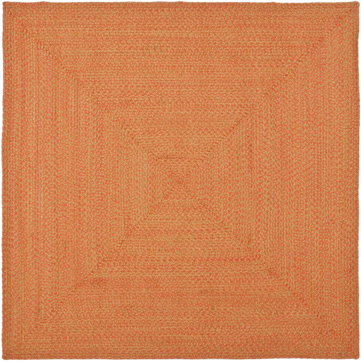Safavieh Braided 6'-0" x 6'-0" Rug in Multi