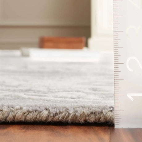 Safavieh Ebony 4'-0" x 6'-0" Rug in Ivory / Grey