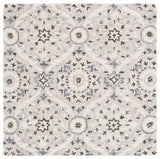 Safavieh Aspen 5'-0" x 5'-0" Rug in Beige / Grey