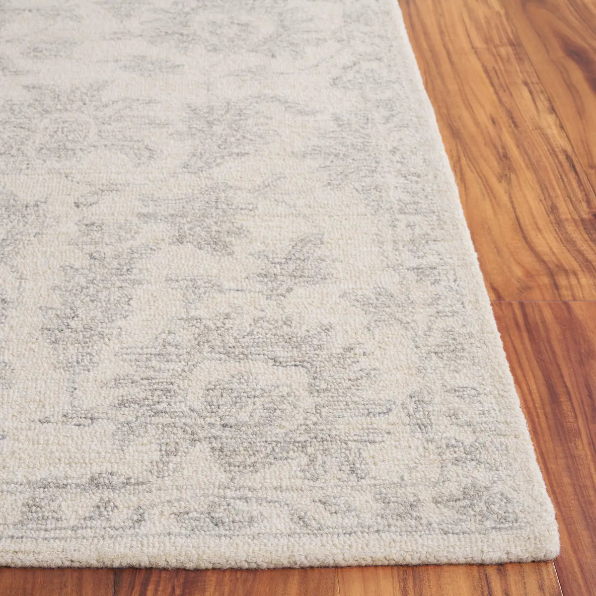 Safavieh Ebony 4'-0" x 6'-0" Rug in Ivory / Grey