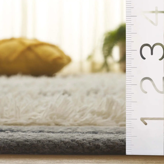 Safavieh Kenya 4'-0" x 6'-0" Rug in Grey / Ivory