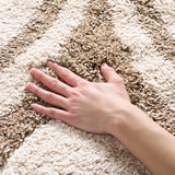 Safavieh Florida Shag 3'-3" x 5'-3" Rug in Ivory / Beige