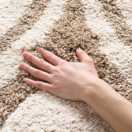 Safavieh Florida Shag 3'-3" x 5'-3" Rug in Ivory / Beige